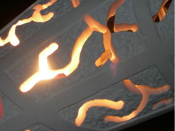 Archisio - La Pietra Di Luca - Progetto Le meduse prese aria applique coralli coppie di applique sculture luminose da muro sculture luminose
