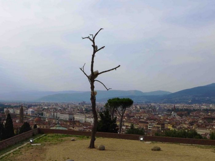 Archisio - Zeno Pucciarchitects - Progetto Mostra prospettiva vegetale giuseppe penone