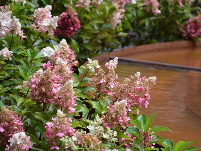 Archisio - Lucia Panzetta - Progetto Il giardino dei sensi