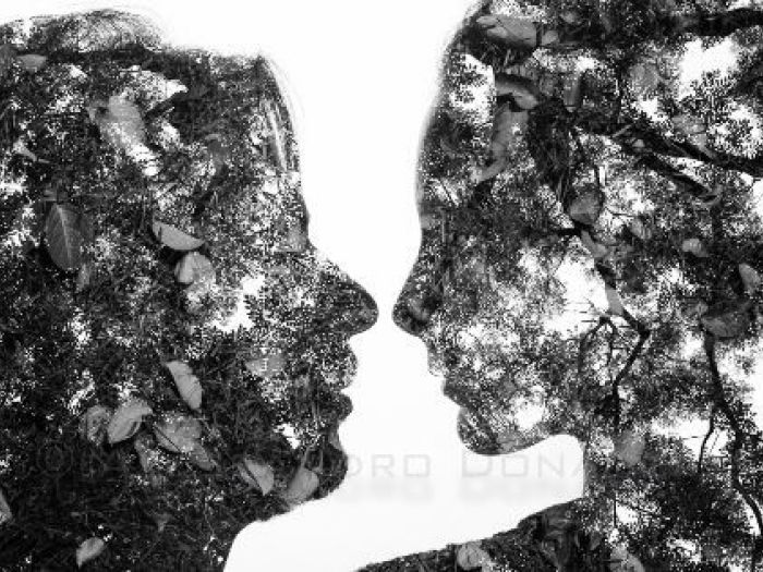 Archisio - Alessandro Donaggio Fine Art Photography - Progetto Metamorfosi