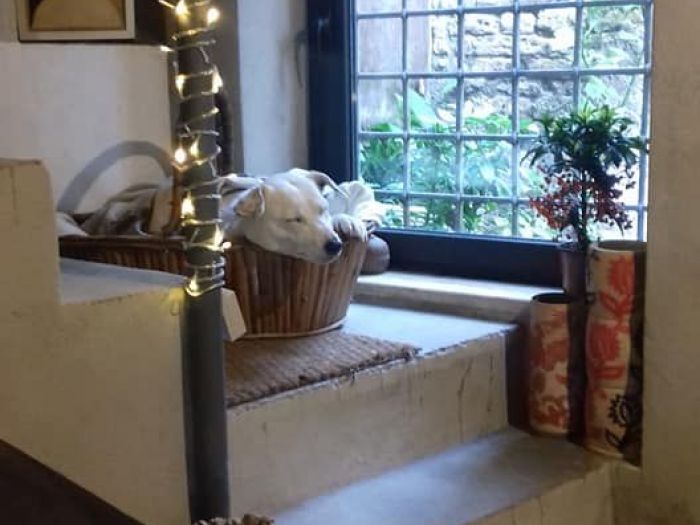 Archisio - Claudio Bonuglia - Progetto Fotografia