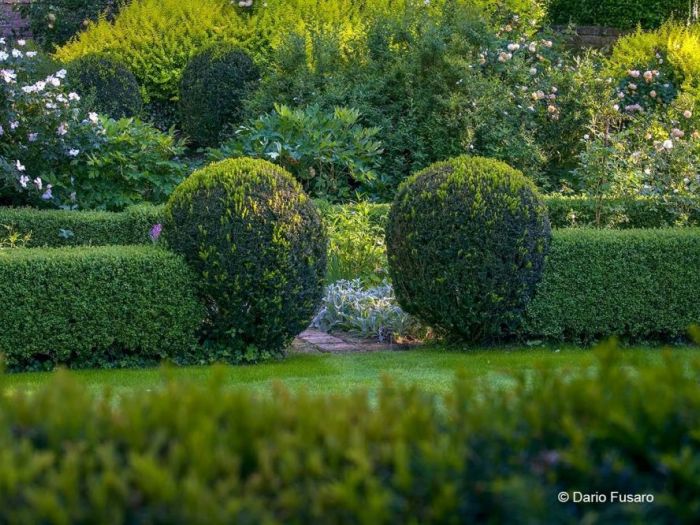 Archisio - Dario Fusaro Garden Photography - Progetto Giardini