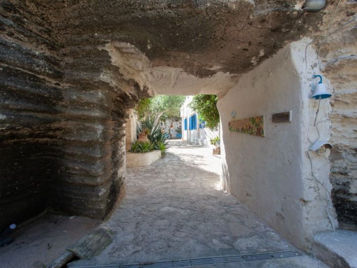 Archisio - Alessandro Pablo Perrone - Progetto L oasi botanique hotel