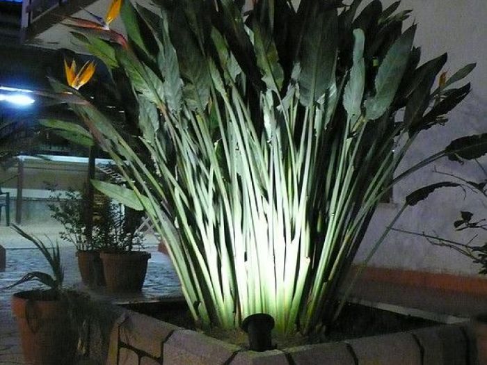 Archisio - Yodaa Architecture - Progetto Makeover garden