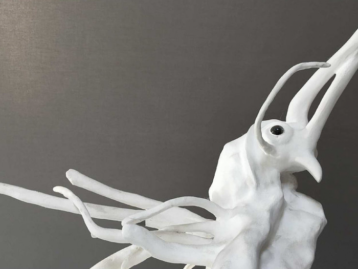 Archisio - Mariolina Fumo - Progetto Creatures