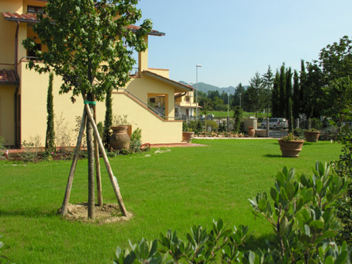 Archisio - Arte Verde Vivai - Progetto Manutenzione giardini