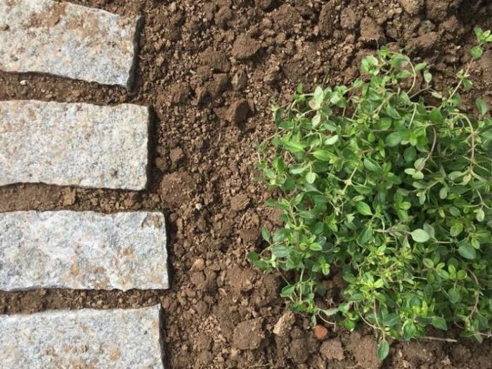 Archisio - Suingiardino Snc - Progetto Laspirale aromatica