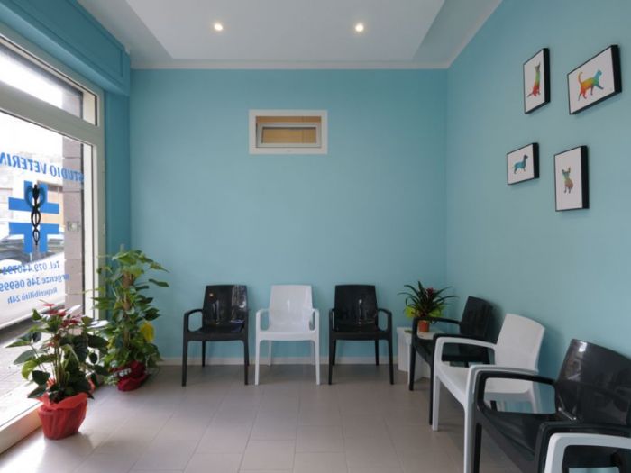 Archisio - Enviprojects - Progetto Studio veterinario vet ambulatory