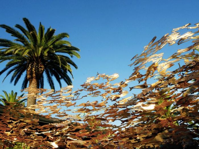 Archisio - Studio Cc - Progetto La libellula