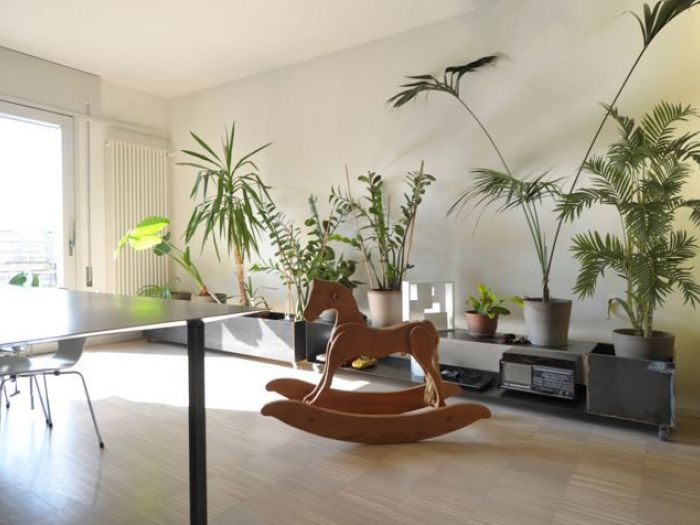 Archisio - Michele Gambato Architetto Mgark - Progetto Casa altalena