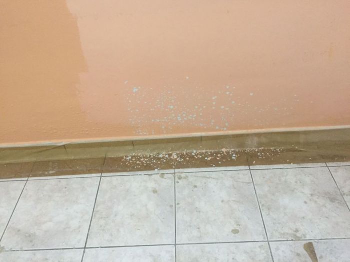 Archisio - Gimmirestauri - Progetto Pitture interne