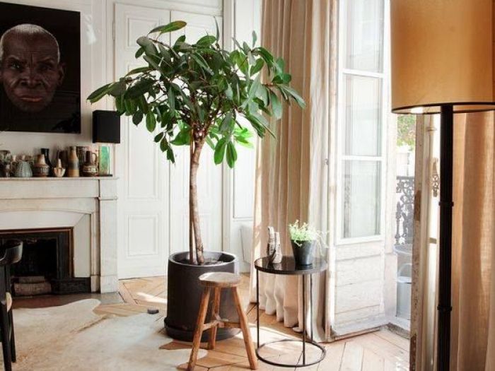 Archisio - Novahouse - Progetto Progetto 1