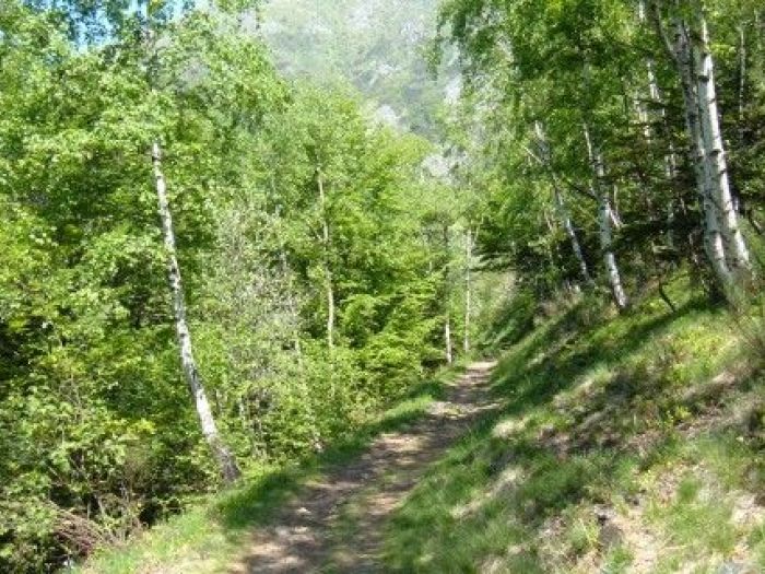 Archisio - Studio Di Agronomia E Architettura Del Paesaggio - Progetto Progetto paesaggio biellese