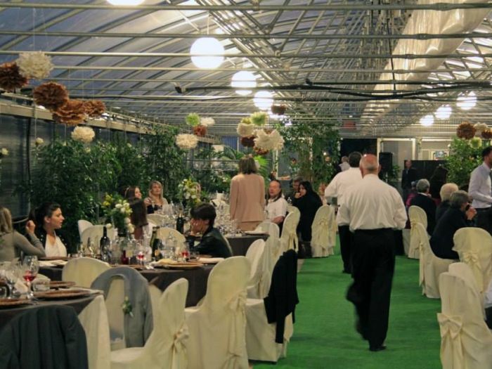 Archisio - Spazio Verde - Progetto Allestimento per matrimonio