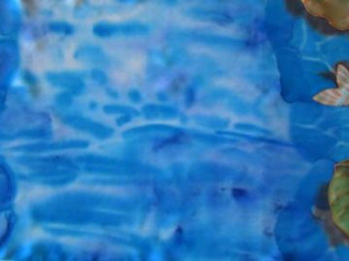 Archisio - Sarti - Progetto Pictures