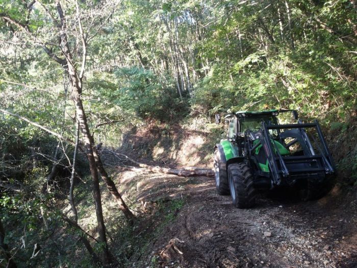 Archisio - Il Dottore Del Verde Di Bruno Barnaba - Progetto Utilizzazioni boschive