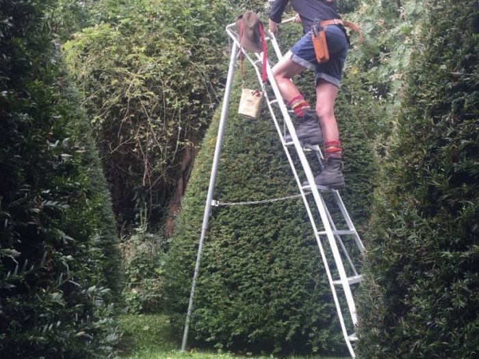 Archisio - Claudia Dibbe Piazza - Progetto Allinsegna di piet oudolf