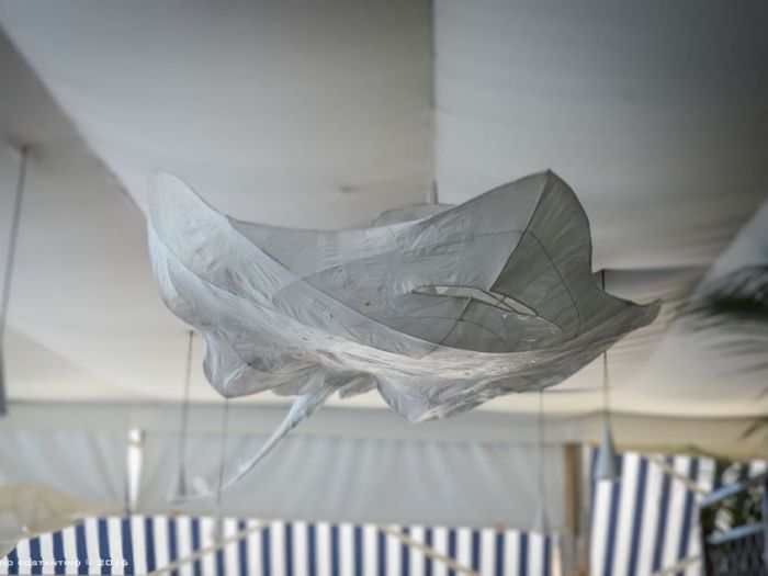 Archisio - Stefano Costantino - Progetto Acquario luminoso allinterno di un ristorante