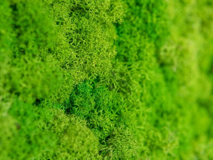 Archisio - Alb Studio Project - Progetto Tipografia mariotto