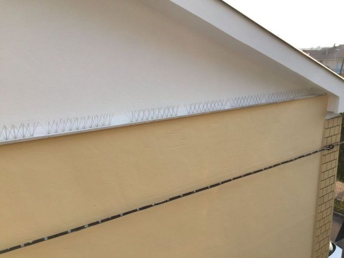 Archisio - Angelo Edilizia Generale - Progetto Opere di restauro e risanamento conservativo delle facciate impermeabilizzazione cornicione e decorazione scala