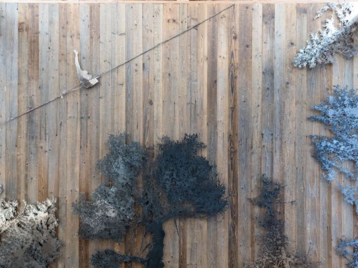 Archisio - Studio Cc - Progetto La grande betulla