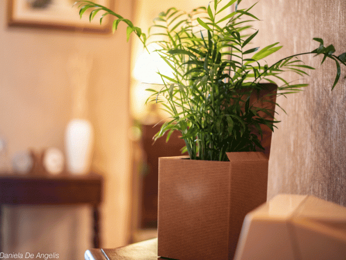 Archisio - Daniela De Angelis - Progetto Casa anna maria