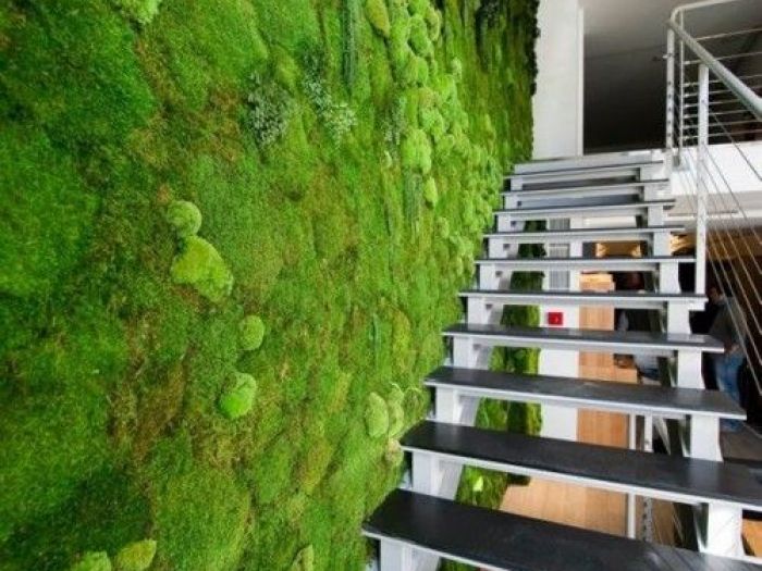 Archisio - Dotto Francesco Consulting Green - Progetto Verde verticale interno casa