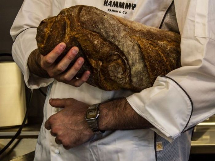 Archisio - Design Project - Progetto Hammmy panini co