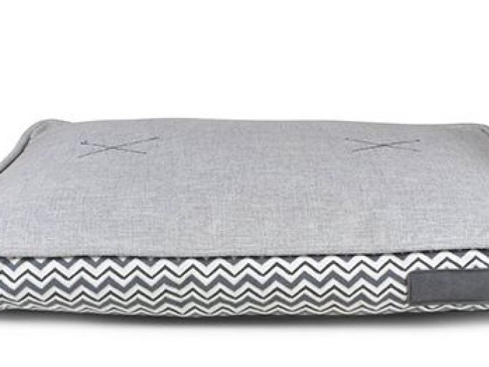 Archisio - Ildoppiosegno - Progetto Pet design