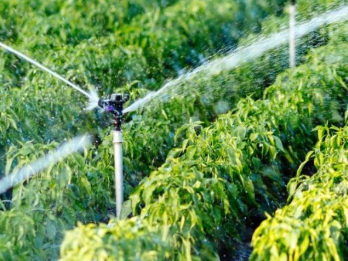 Archisio - Timal srl - Progetto Impianti di irrigazione