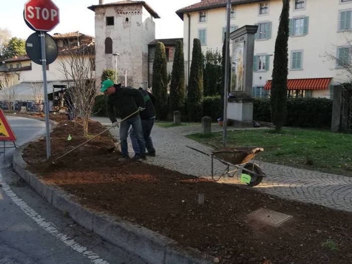 Archisio - Robi Bonaita Alessio Bonaita Fabiano Bonaita - Progetto Le nostre piante