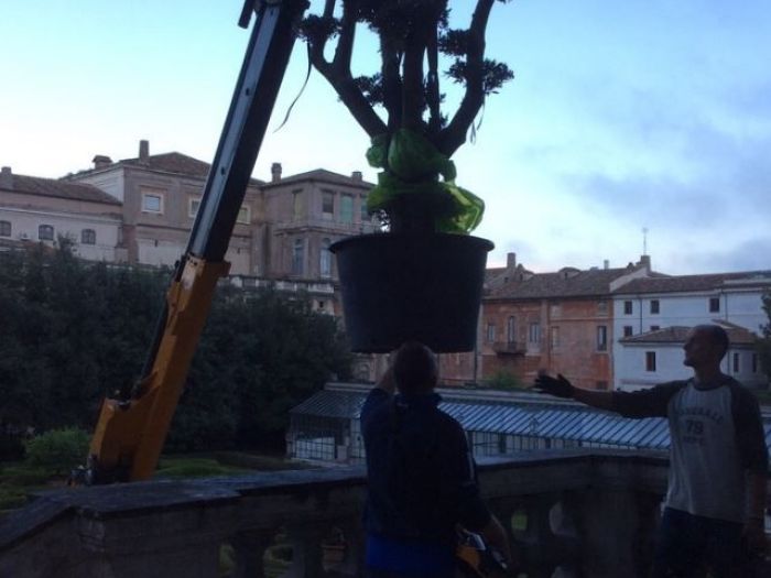 Archisio - Lucrezia Didonna - Progetto Palazzo barberini