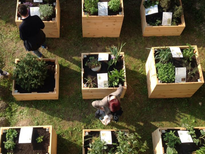 Archisio - Davide Stona - Progetto Installazione temporanea per hortus sanitatis