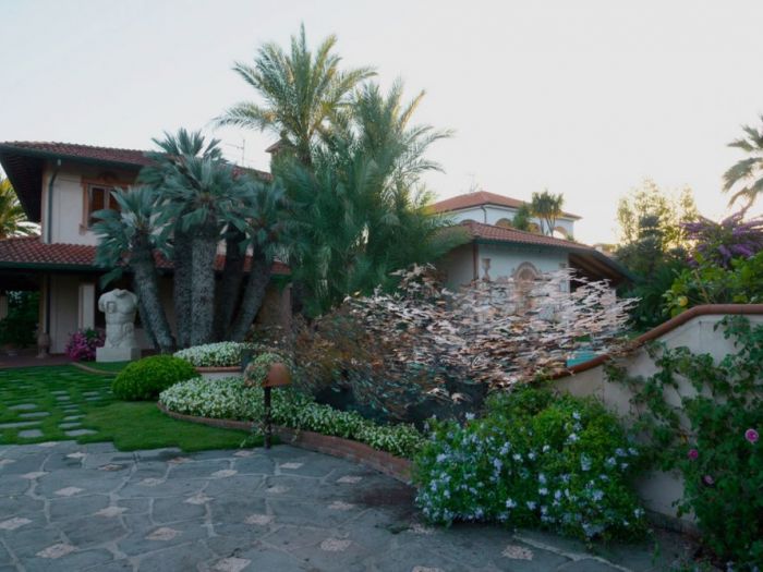 Archisio - Studio Cc - Progetto La libellula