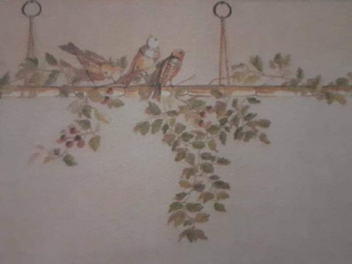 Archisio - Il Paradiso Della Parete - Progetto Decorazioni