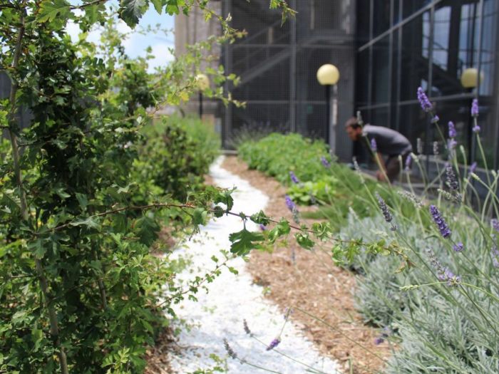 Archisio - P432 Studio - Progetto Orto biologico