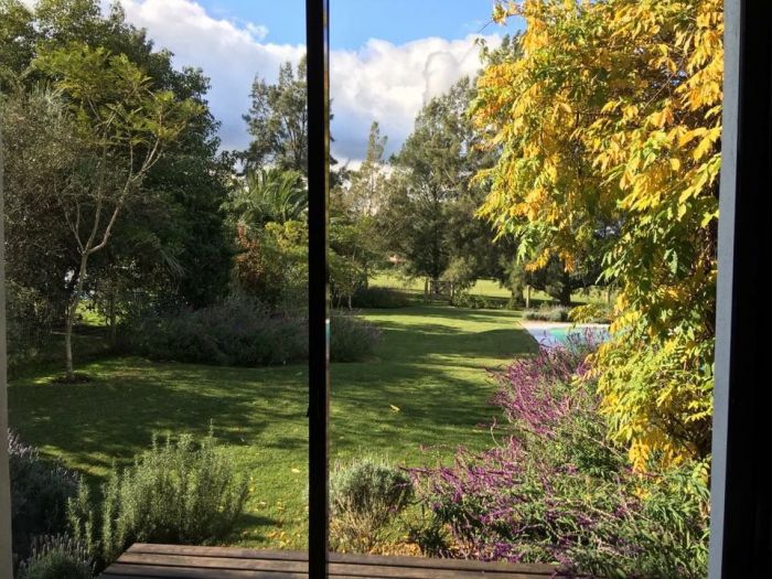 Archisio - Claudia Dibbe Piazza - Progetto Allinsegna di piet oudolf