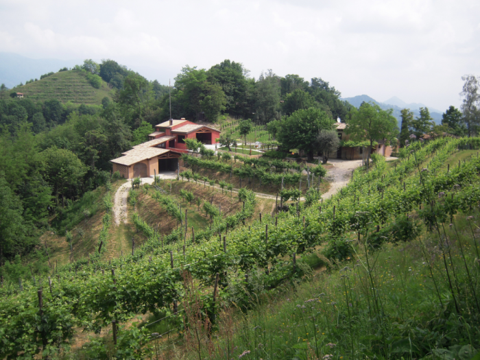 Archisio - Studioarchitettura srl - Progetto Azienda agricola