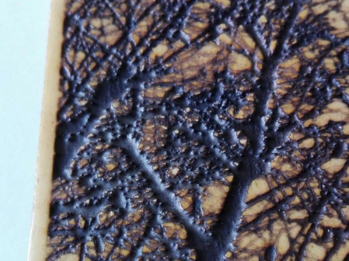 Archisio - Lab Giobbi - Progetto Arte