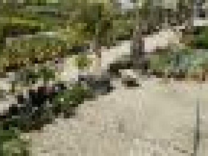 Archisio - Piante Macri - Progetto Il vivaio