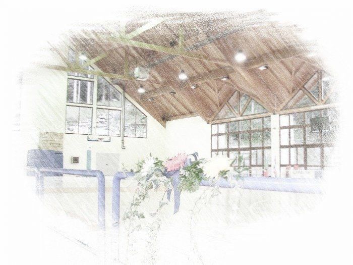 Archisio - Federica Nodari - Progetto Palazzetto polisportivo