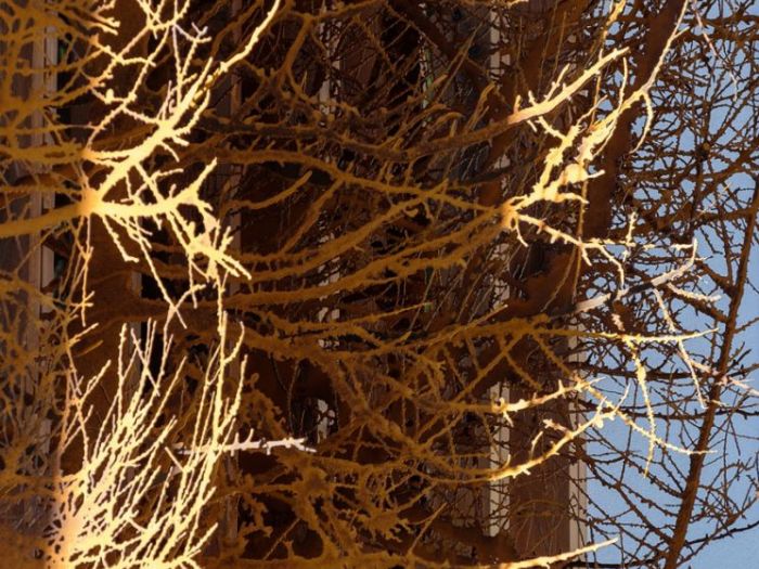 Archisio - Studio Cc - Progetto Le regole