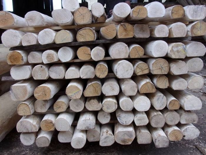 Archisio - Falegnameria Ferruzzi - Progetto Segheria