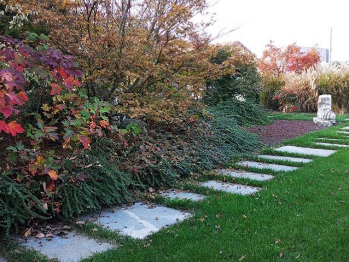 Archisio - Studio Mama - Progetto Giardini esterni