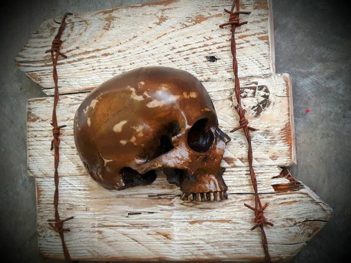 Archisio - Edodesign - Progetto Skull kustom tattoo