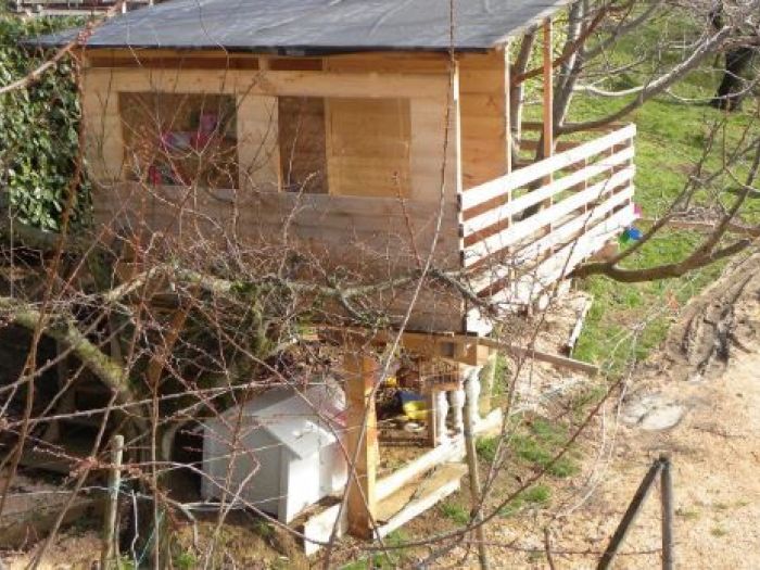 Archisio - Casalberi - Progetto Casetta sul noce