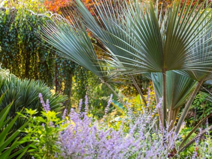 Archisio - Dario Fusaro Garden Photography - Progetto Fiori