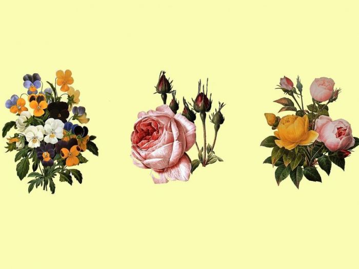 Archisio - Luca Righetto - Progetto Interior design Decorazioni floreali a soffitto