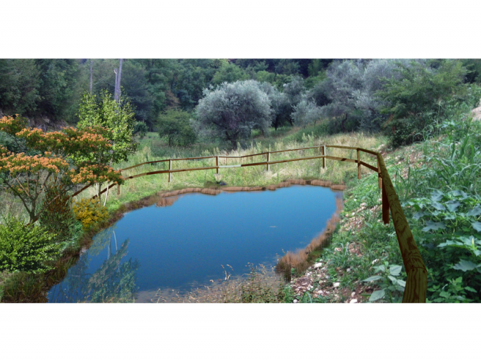 Archisio - Davide Stona - Progetto Sistemazione fondo agricolo