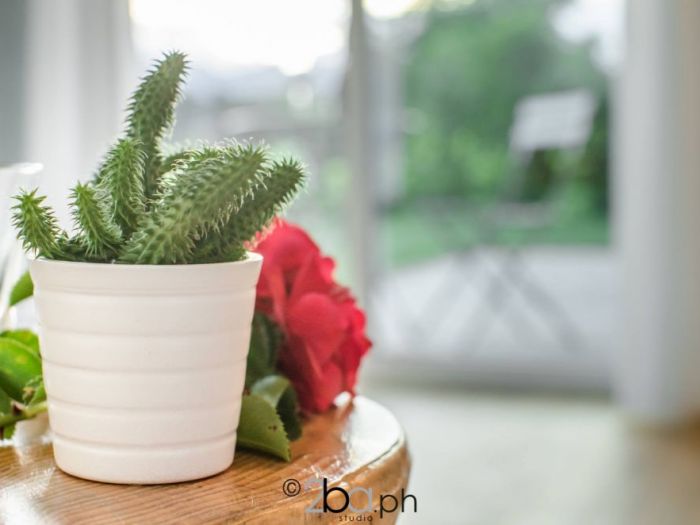 Archisio - 2ba Studio - Progetto Fotoracconto bb lupo